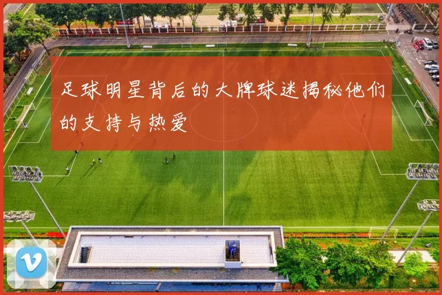 足球明星背后的大牌球迷揭秘他们的支持与热爱