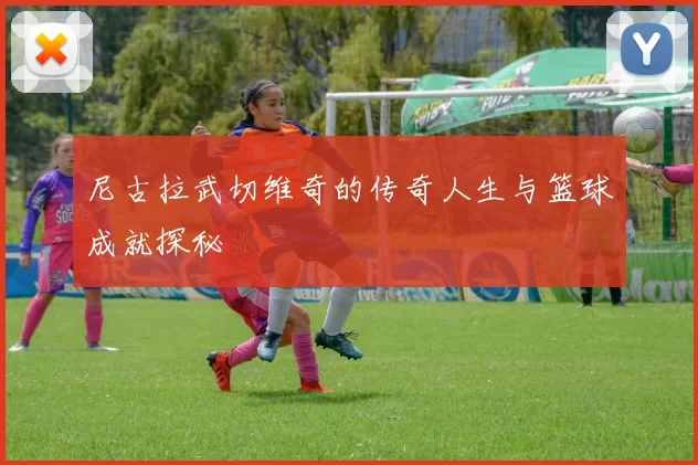 尼古拉武切维奇的传奇人生与篮球成就探秘