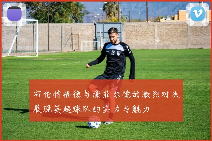 布伦特福德与谢菲尔德的激烈对决展现英超球队的实力与魅力