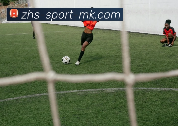 MK体育平台生态图