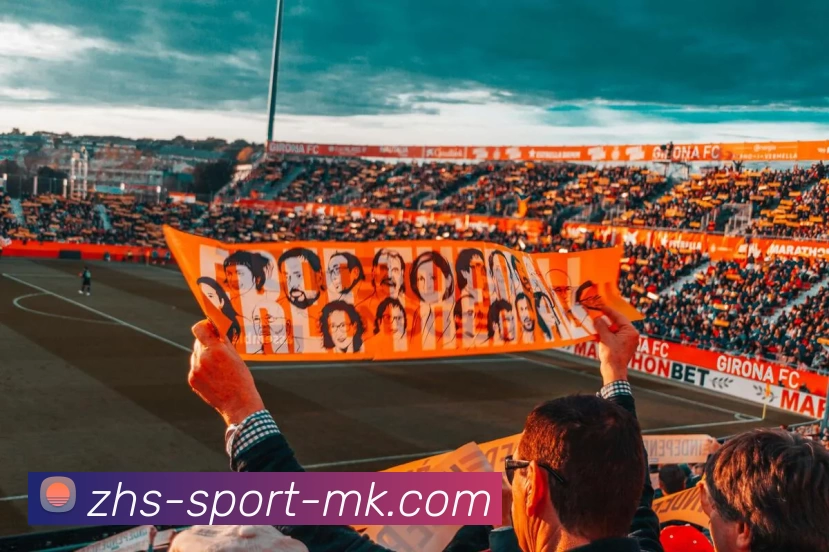 MK体育APP 封面图